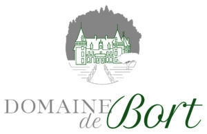 LOGO BORT CMJN