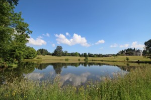 IMG 7041    