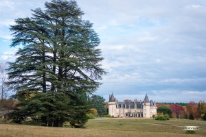 Domaine de Bort - 2018 12 novembre - PHOTORAYAT - 19