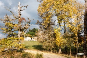 Domaine de Bort - 2018 15 novembre - PHOTORAYAT - 33