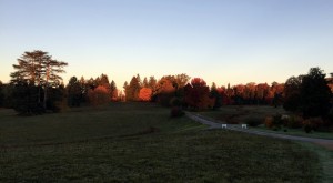 IMG 9243
