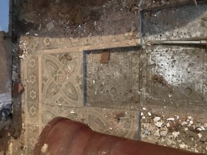 IMG 3563   